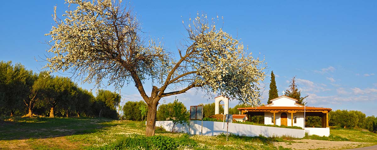 kassandria-agios-georgios-01-nikon2017-002494-1200